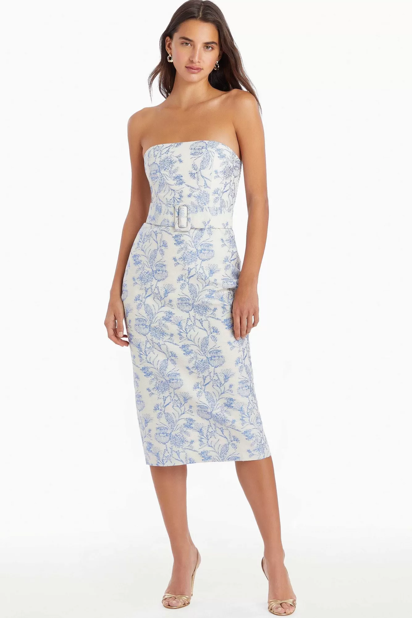 Clearance Fae Midi Dress In Toile Brocade Women Midi Dresses